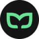Mintfull Agency