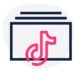 Embed Block for TikTok