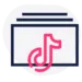 Embed Block for TikTok