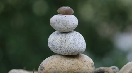 Refonte WordPress : un exercice d’équilibriste entre héritage, traumatismes et nouvelles ambitions