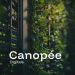Canopée Digitale