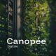 Canopée Digitale