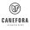 Canefora