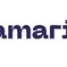 Samaritain Security